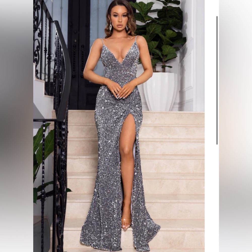 Silver gown